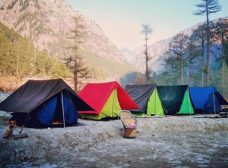Stayhigh Camps & Cottages Kasol Εξωτερικό φωτογραφία