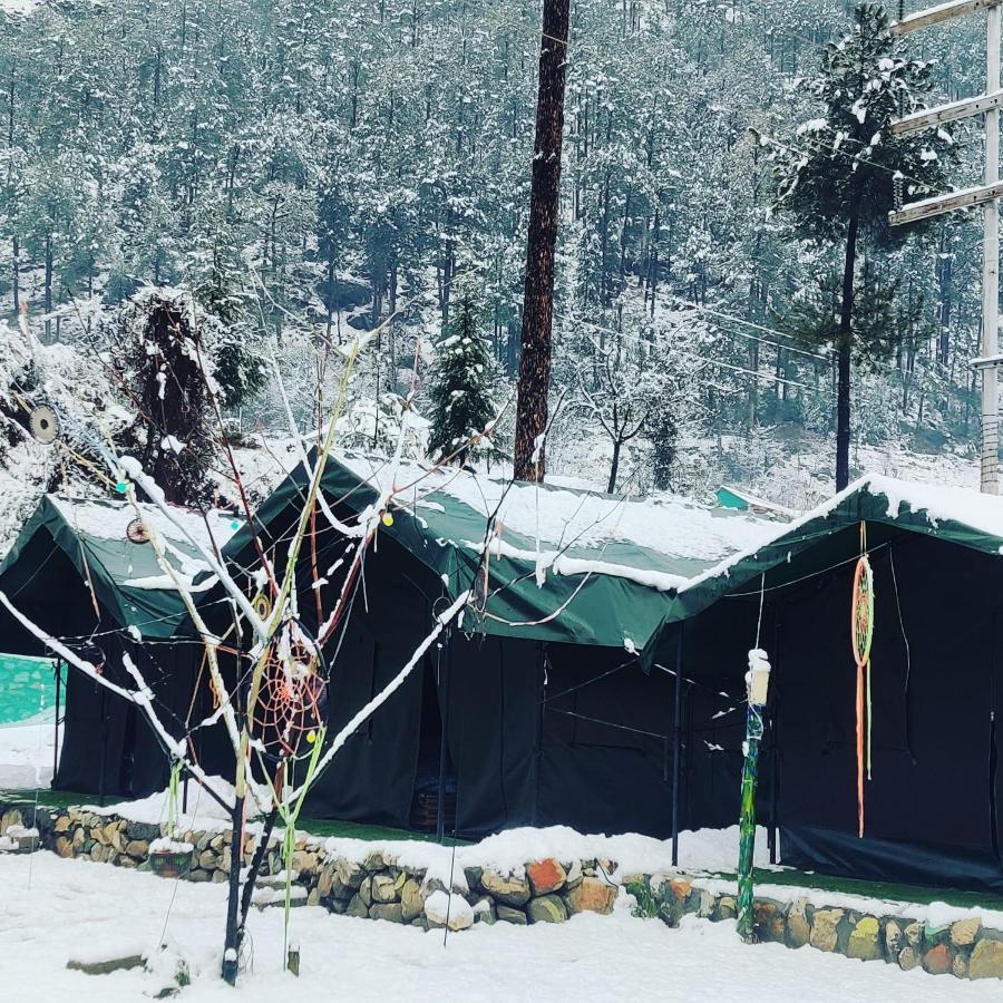 Stayhigh Camps & Cottages Kasol Εξωτερικό φωτογραφία