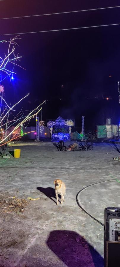 Stayhigh Camps & Cottages Kasol Εξωτερικό φωτογραφία